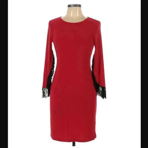 Spense Fringed Sleeve Dress